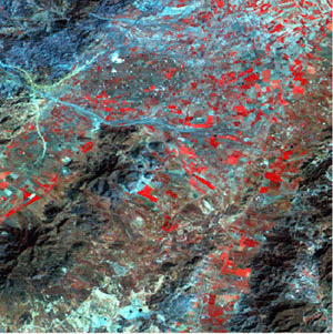 Valle di Guadalentn (Spagna) - Composite Landsat 421 [Autore: Ezio Crestaz]